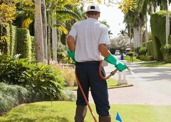 About Galway NY Pest Control